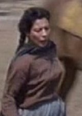 The Magnificent Seven (1960)